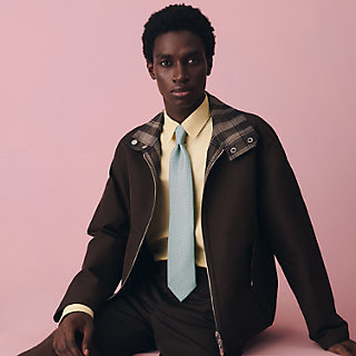 シルクタイ 《アンクル・アン・ヴラック》 | Hermès - エルメス-公式サイト